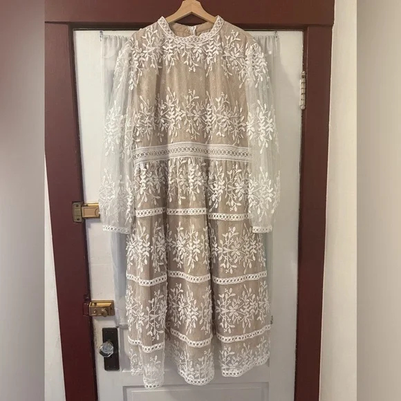 Ivy City Co Sicily Dress 3x Champagne Lining - Picture 2 of 5